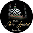 Taiyab Raza profile picture